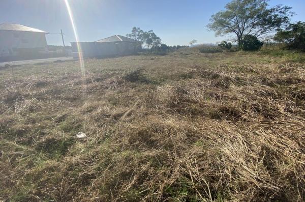 現地写真 現地写真