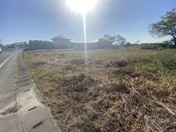 現地写真 現地写真