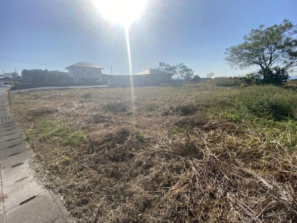 現地写真 現地写真