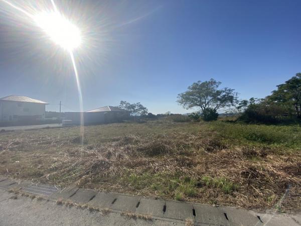 現地写真 現地写真