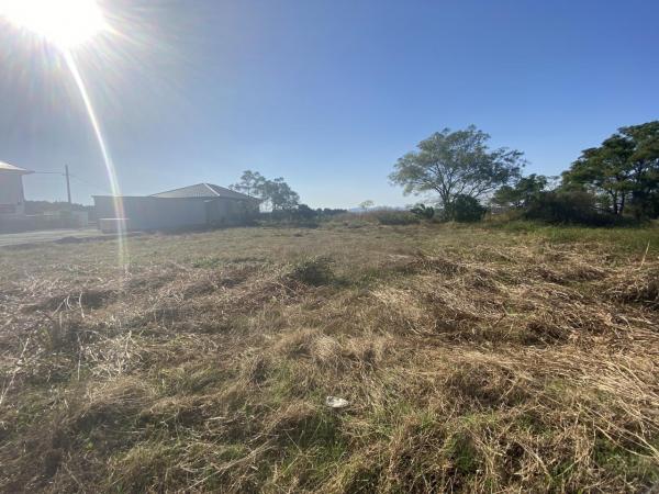 現地写真 現地写真