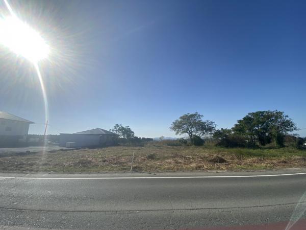 現地写真 現地写真