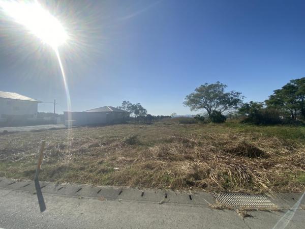 現地写真 現地写真